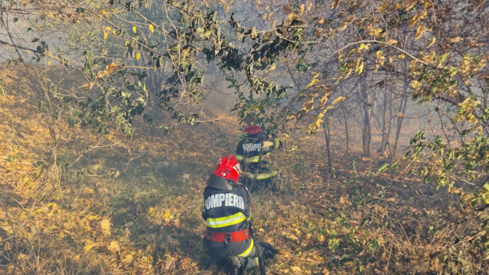 "INCENDIU COLOSAL în Delta Dunării! Pădurea este în flăcări, VEZI ce se întâmplă ACUM!"