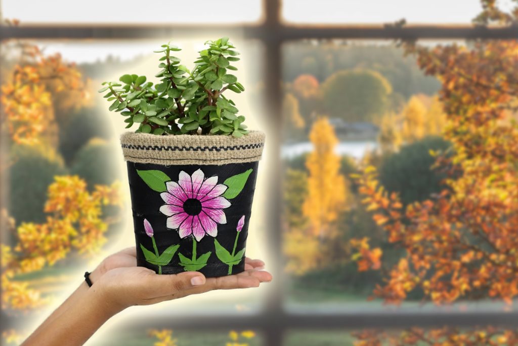 Plantele perfecte pentru casa ta în noiembrie! Descoperă cum să le protejezi de îngheț!