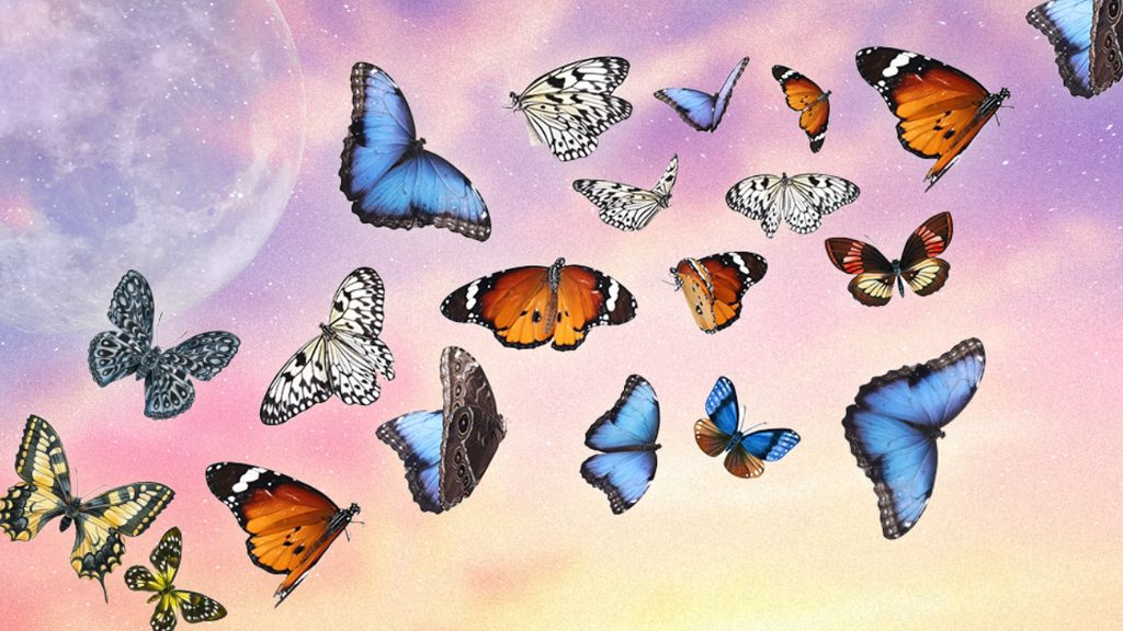 Ce fluture ești în funcție de zodie? Vezi ce mesaje ascunse dețin aceste creaturi înaripate!