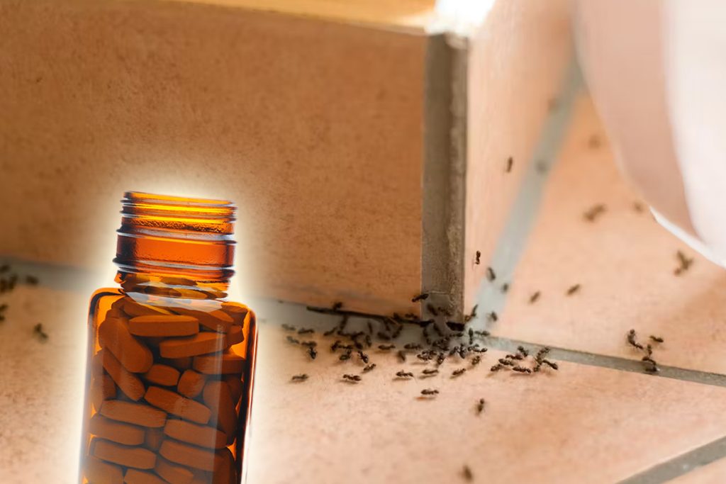 "Metoda secretă pentru a scăpa de furnici! Efecte uimitoare cu un produs din dulapul tău de medicamente!"