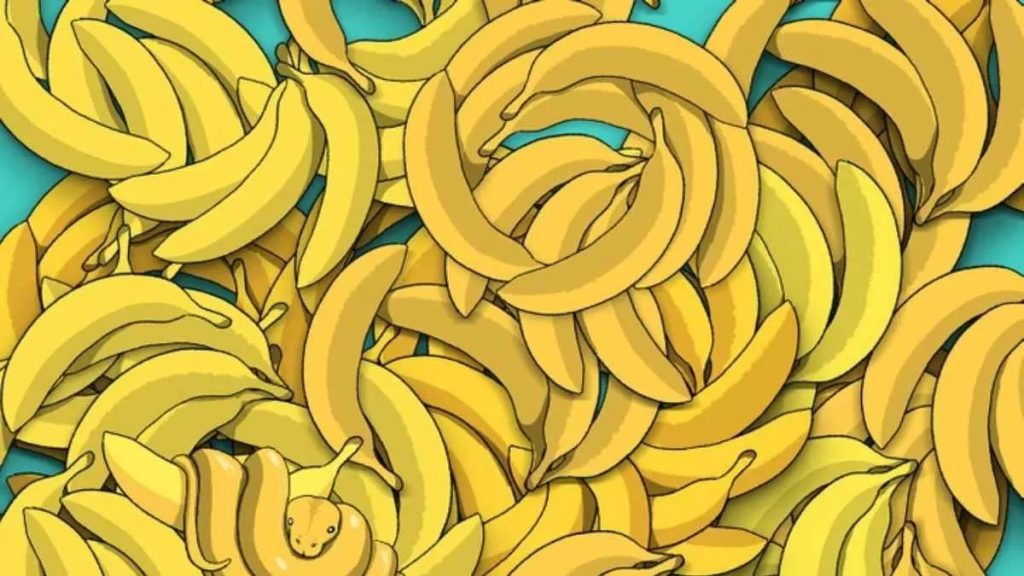 Iluzia optică perfectă pentru genii. Descoperă rapid șarpele între banane!