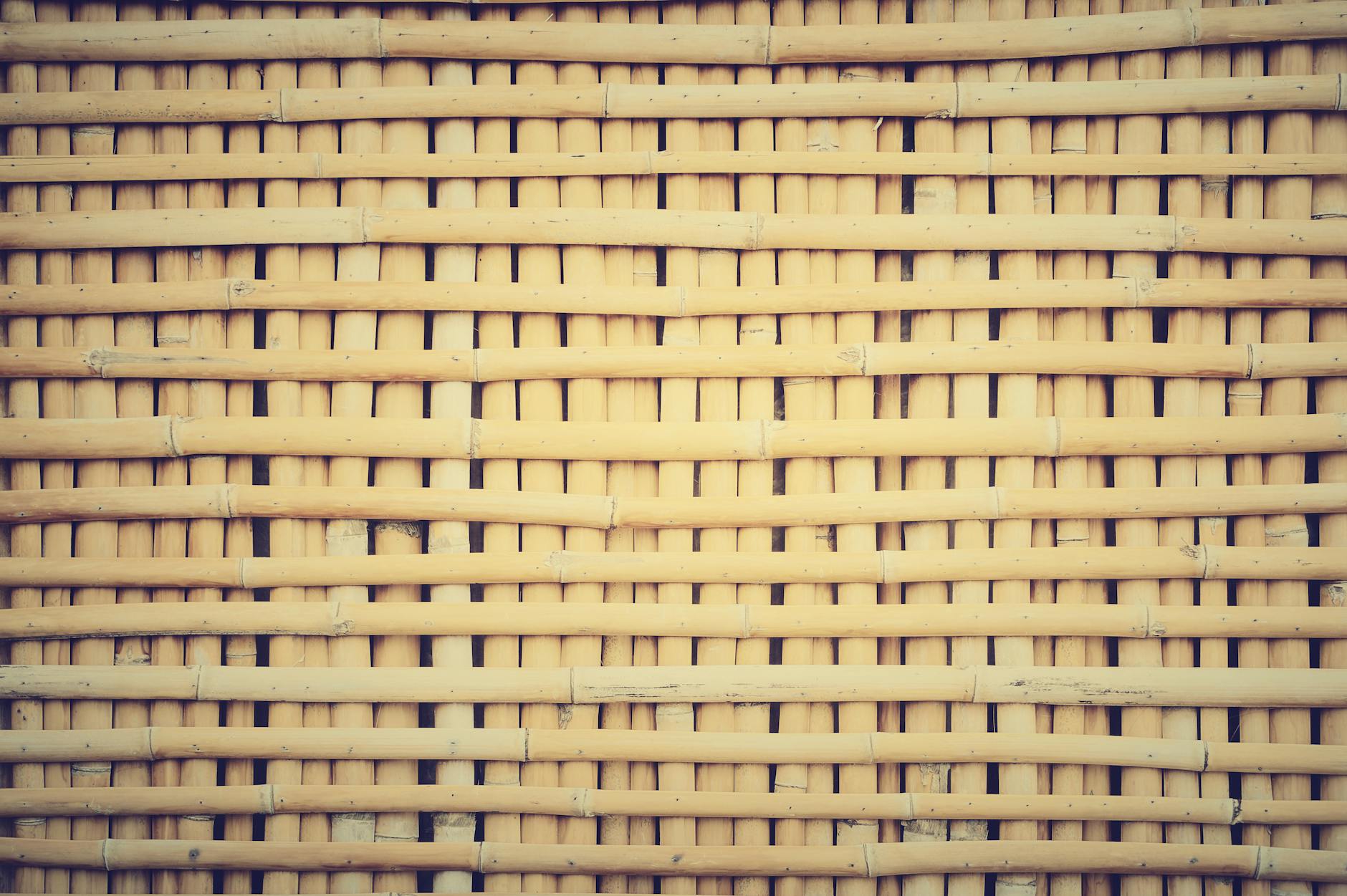 Importanța planului de afaceri pentru IMM-uri